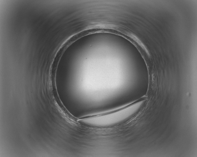 X0000082750972200702161955