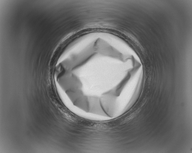 X0000082750974200702161955
