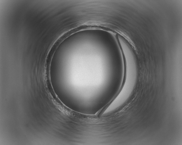 X0000082750976200702161955