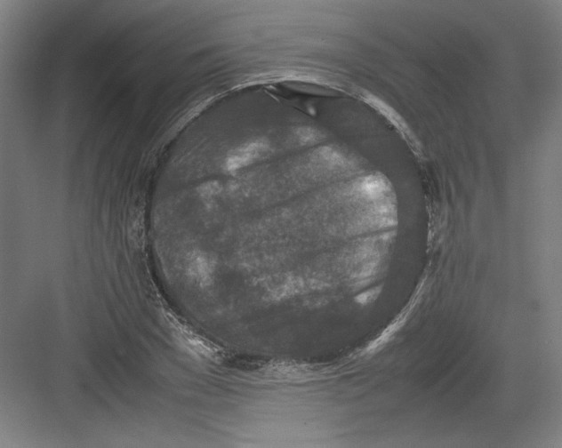 X0000082750977200702161955