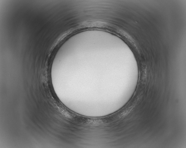 X0000082750978200702161955