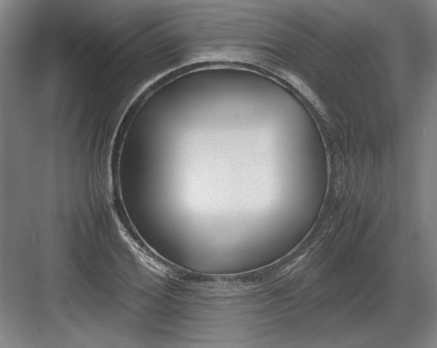 X0000082750980200702161955