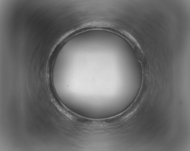 X0000082750981200702161955