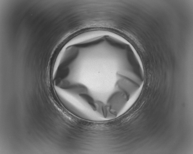 X0000082750982200702161955