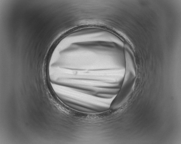 X0000082750983200702161955