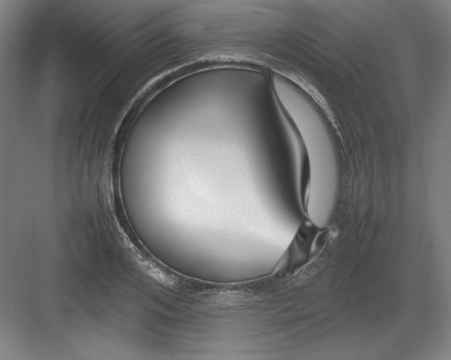X0000082750984200702161955