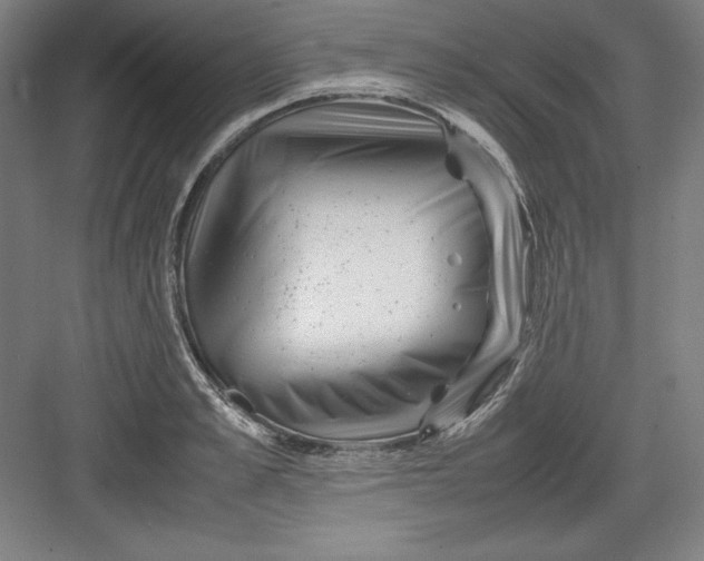 X0000082750989200702161955