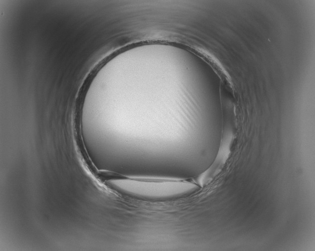 X0000082750991200702161955
