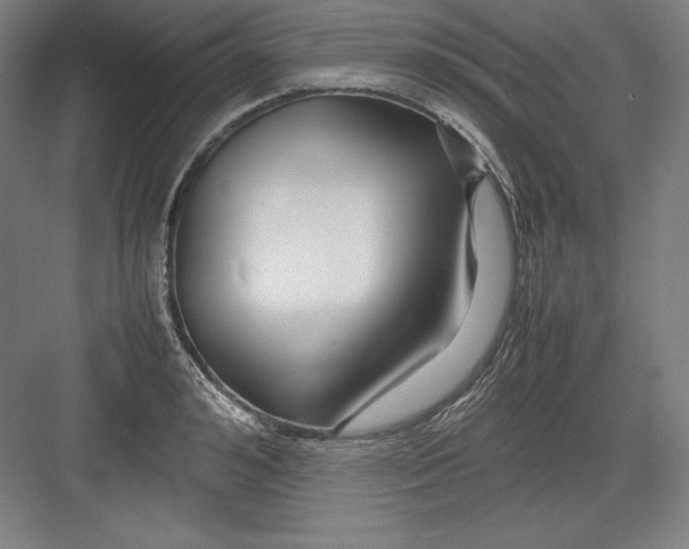 X0000082750992200702161955