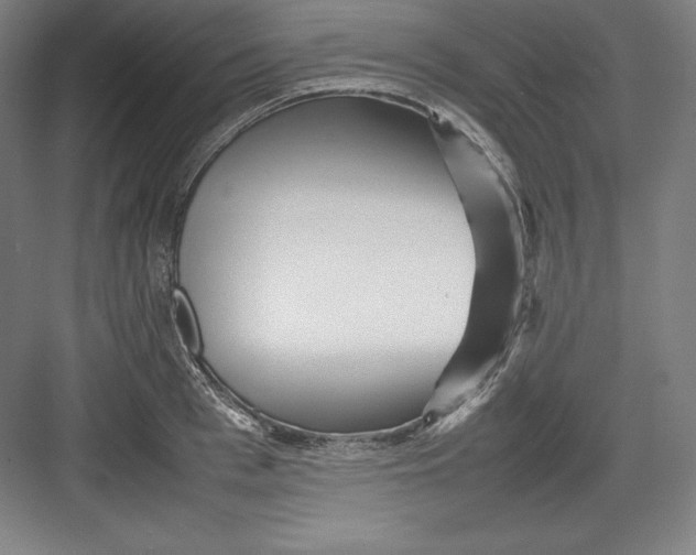 X0000082750993200702161955