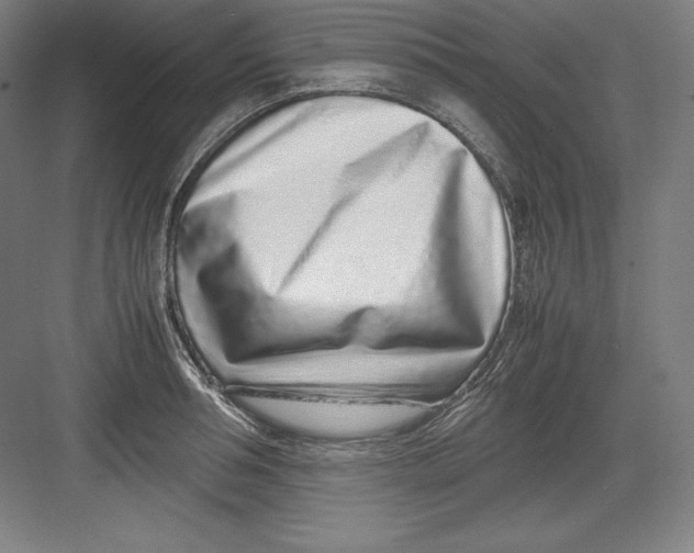X0000082750994200702161955
