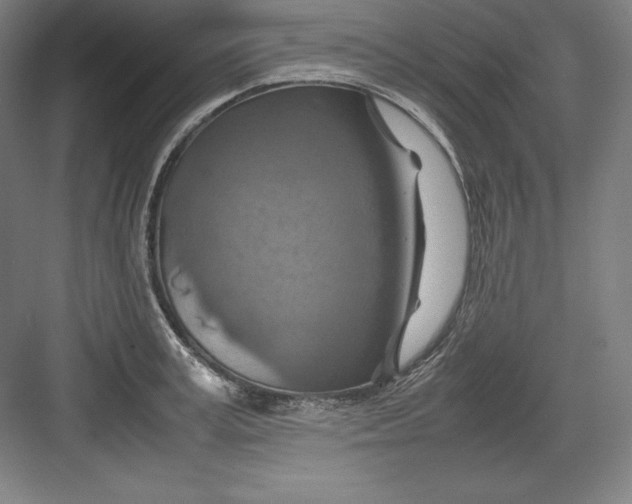 X0000082750995200702161955