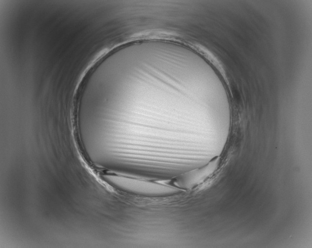 X0000082750997200702161955