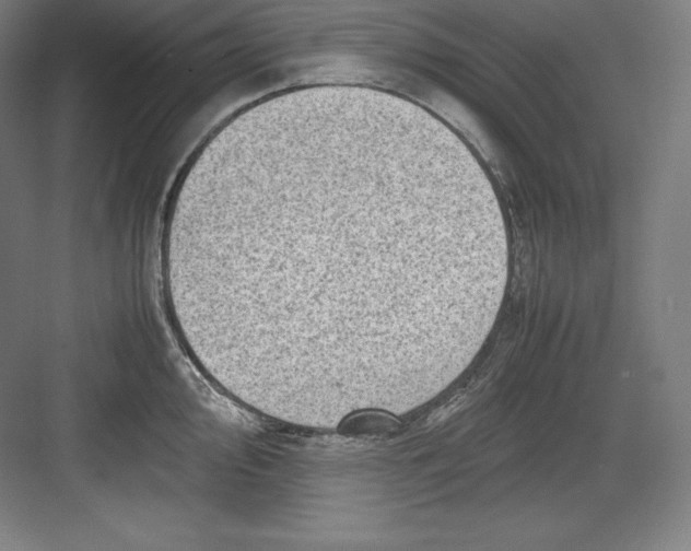 X0000082751000200702161955