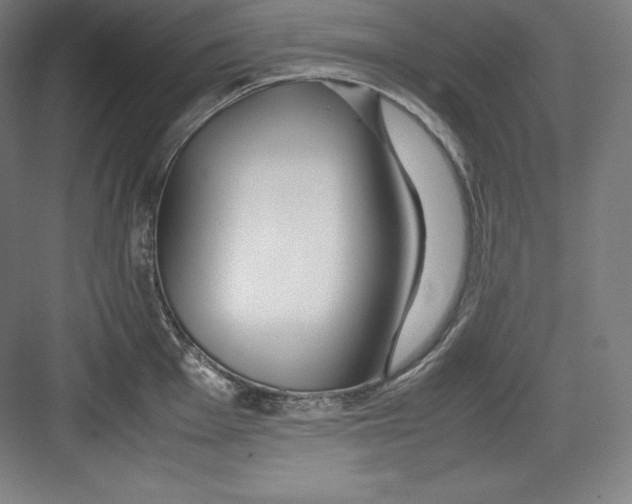 X0000082751001200702161955
