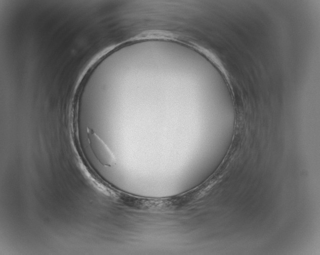 X0000082751003200702161955