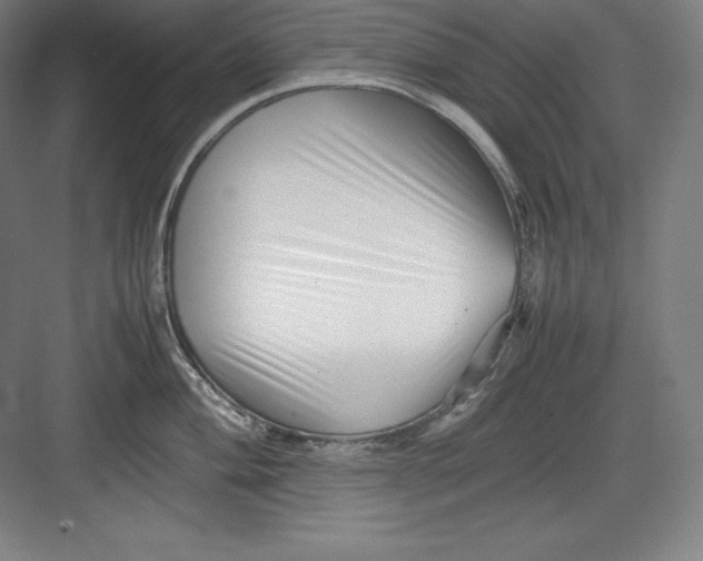 X0000082751004200702161955