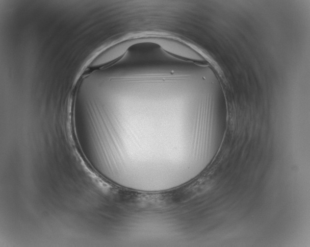 X0000082751006200702161955