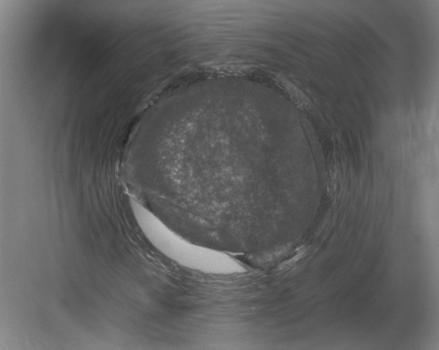 X0000082751010200702161954