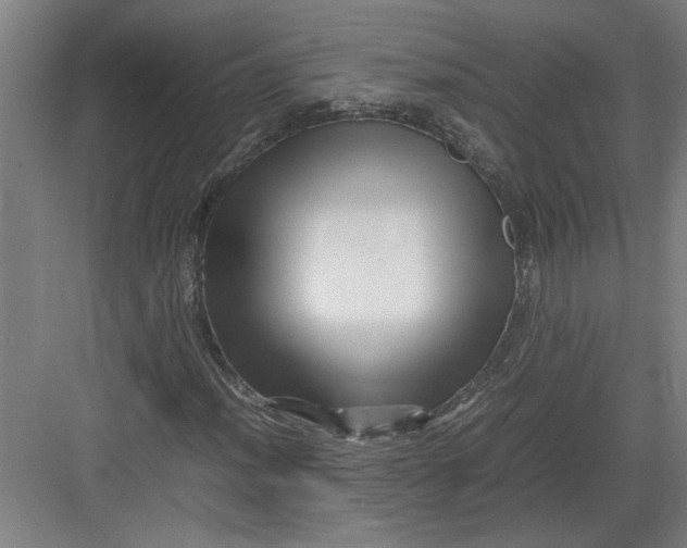 X0000082751012200702161954