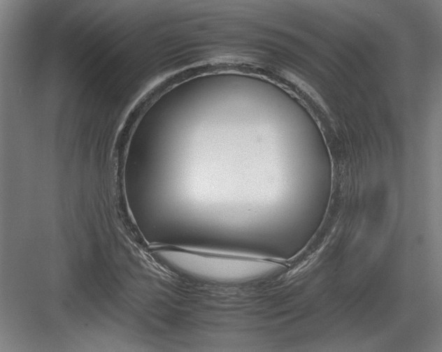 X0000082751021200702161954