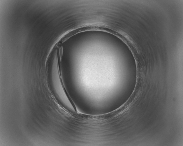 X0000082751022200702161954
