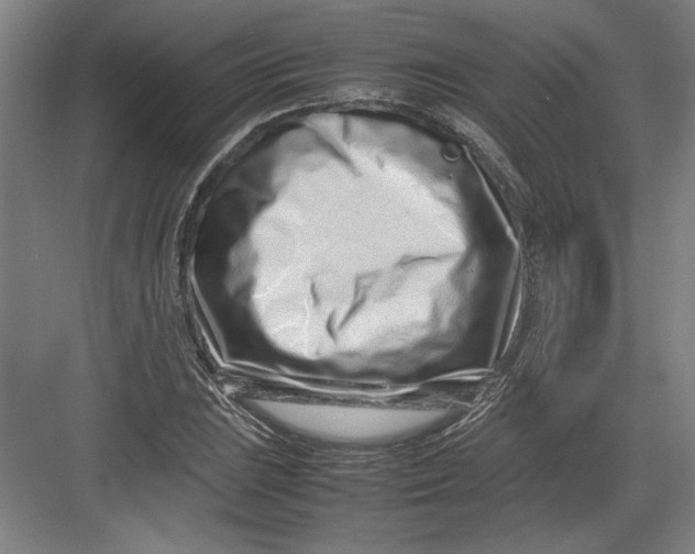 X0000082751023200702161954