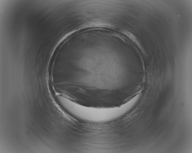 X0000082751024200702161954