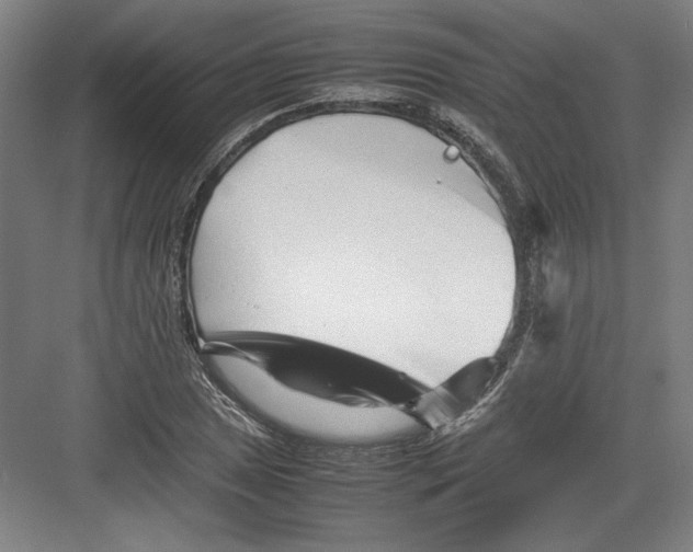 X0000082751025200702161954