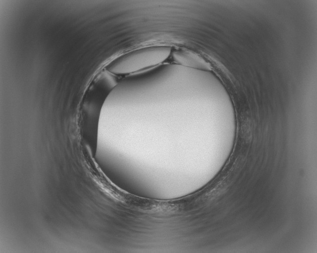 X0000082751026200702161954