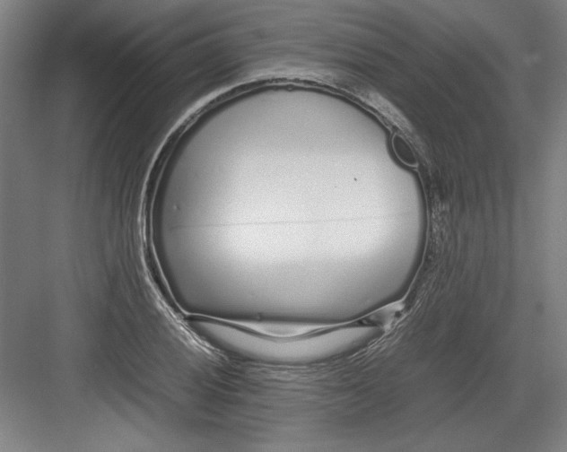X0000082751028200702161954