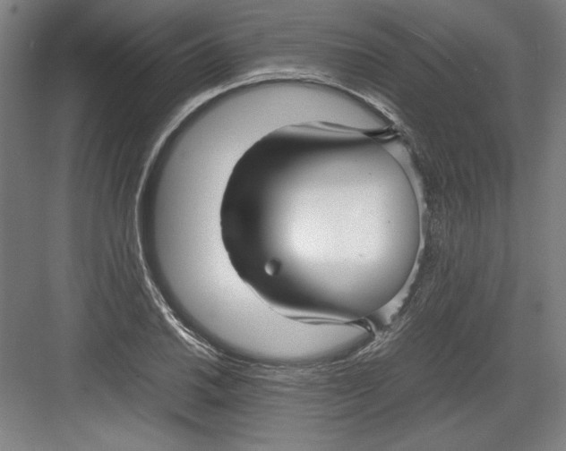 X0000082751030200702161954