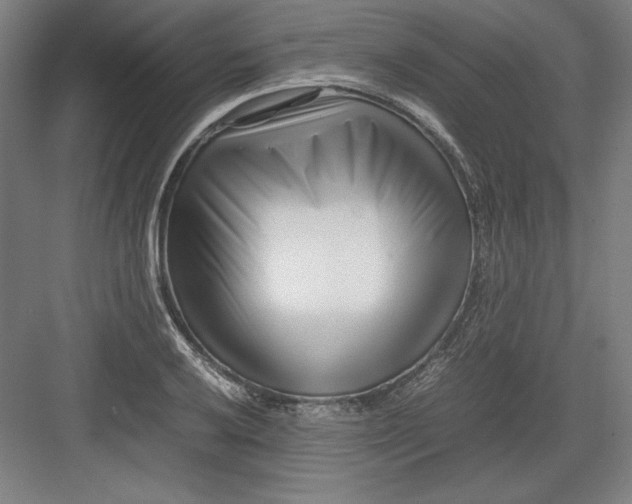 X0000082751032200702161954