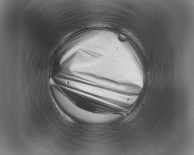 X0000082751033200702161954