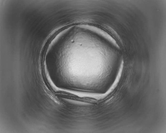 X0000082751035200702161954
