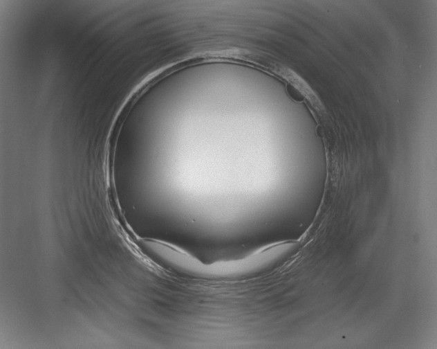 X0000082751036200702161954