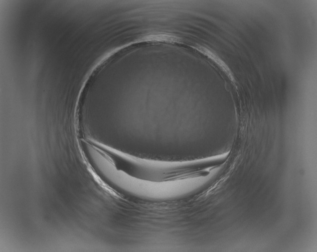 X0000082751037200702161954