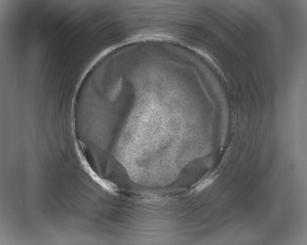 X0000082751038200702161954