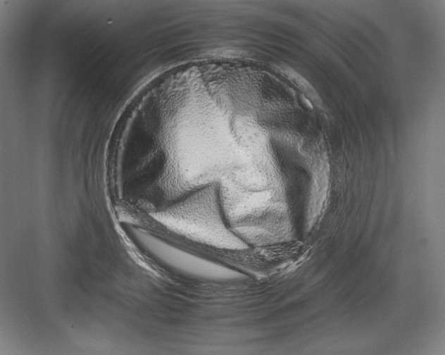 X0000082751039200702161954