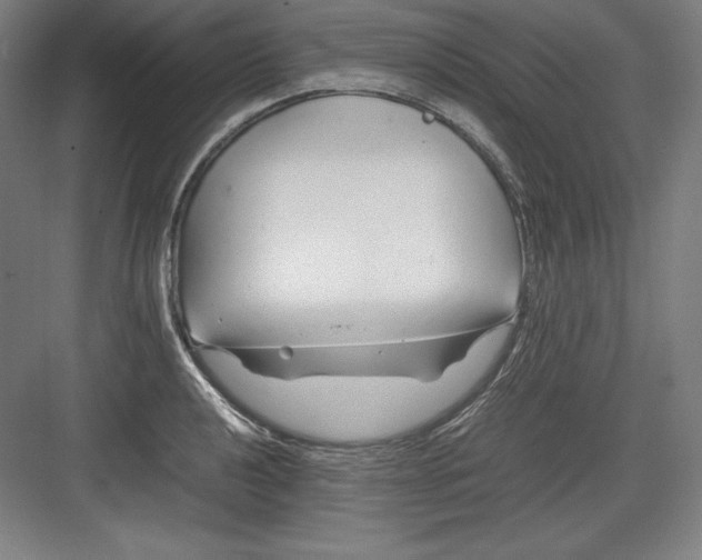 X0000082751040200702161954