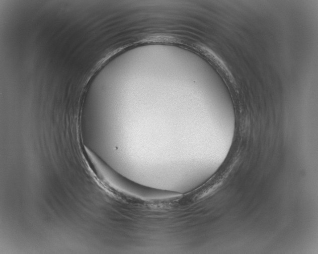 X0000082751041200702161954