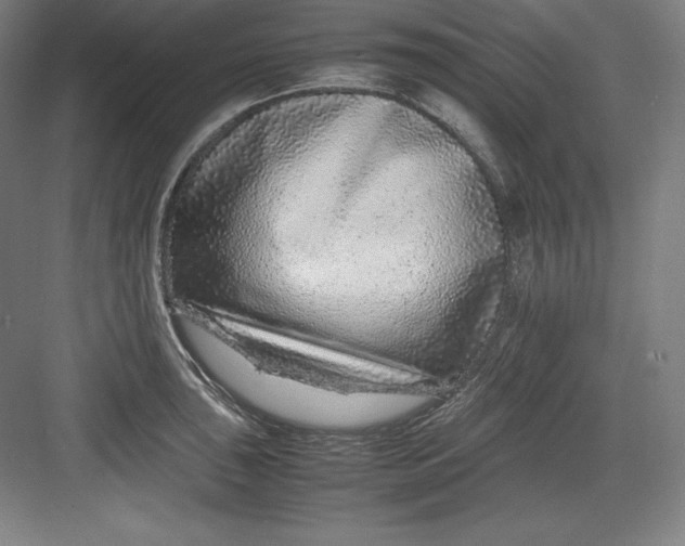 X0000082751043200702161954