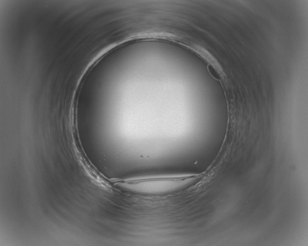 X0000082751044200702161954