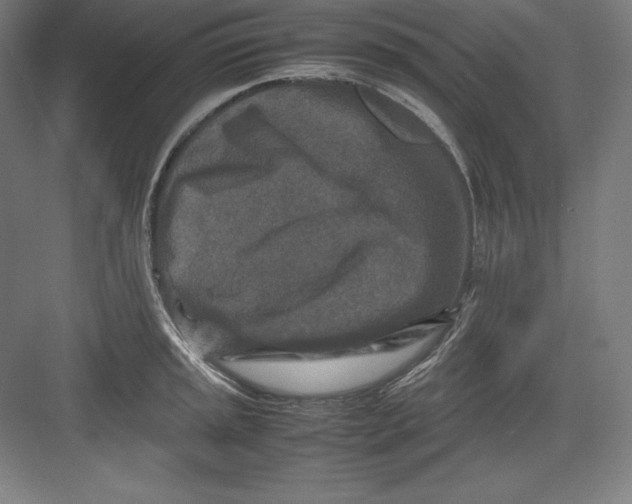 X0000082751045200702161954