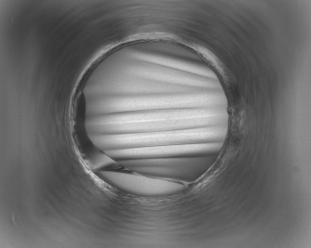 X0000082751046200702161954