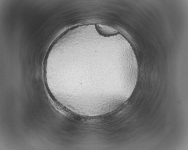 X0000082751047200702161954