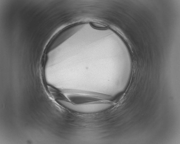 X0000082751048200702161954