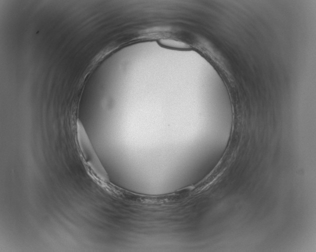 X0000082751049200702161954