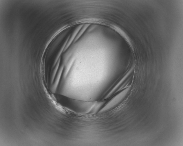 X0000082751050200702161954
