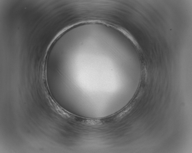 X0000082751052200702161954